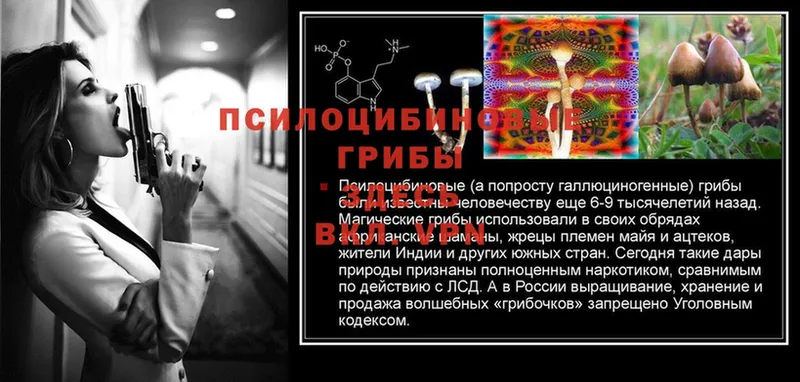 kraken ONION  Собинка  Псилоцибиновые грибы Psilocybe 